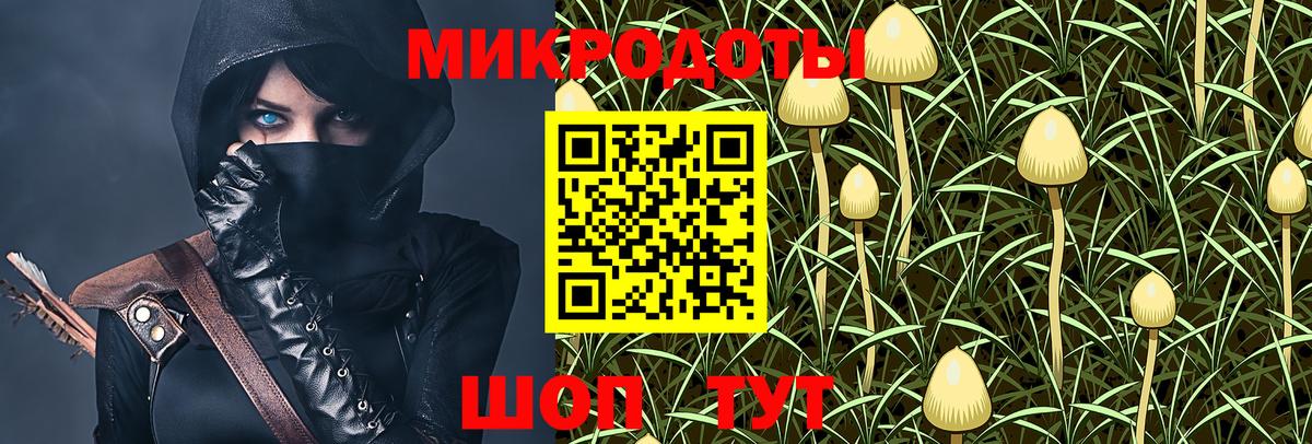 Псилоцибиновые грибы MAGIC MUSHROOMS Костомукша