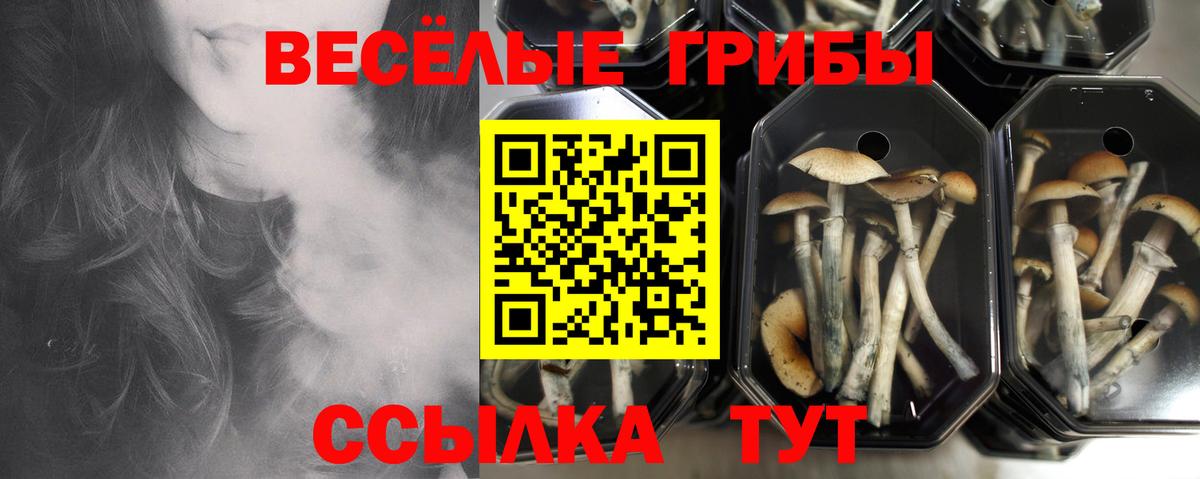 Галлюциногенные грибы Cubensis  Вход с VPN  что такое   Костомукша 